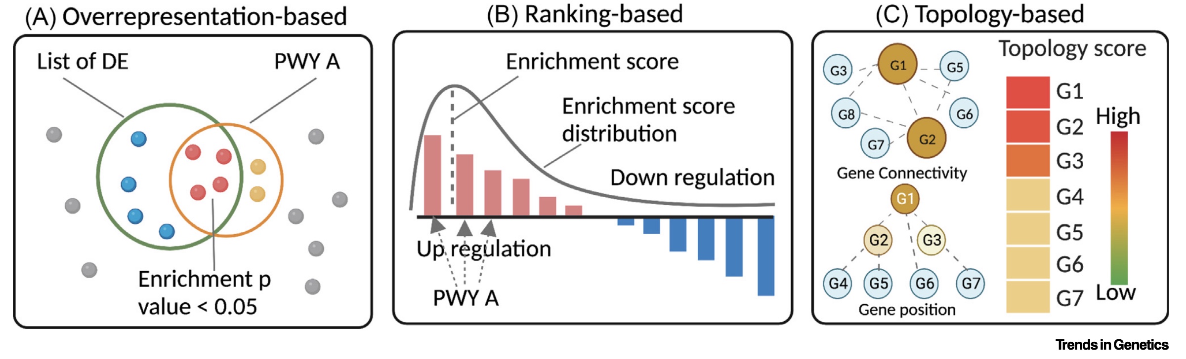 Functional enrichment approaches